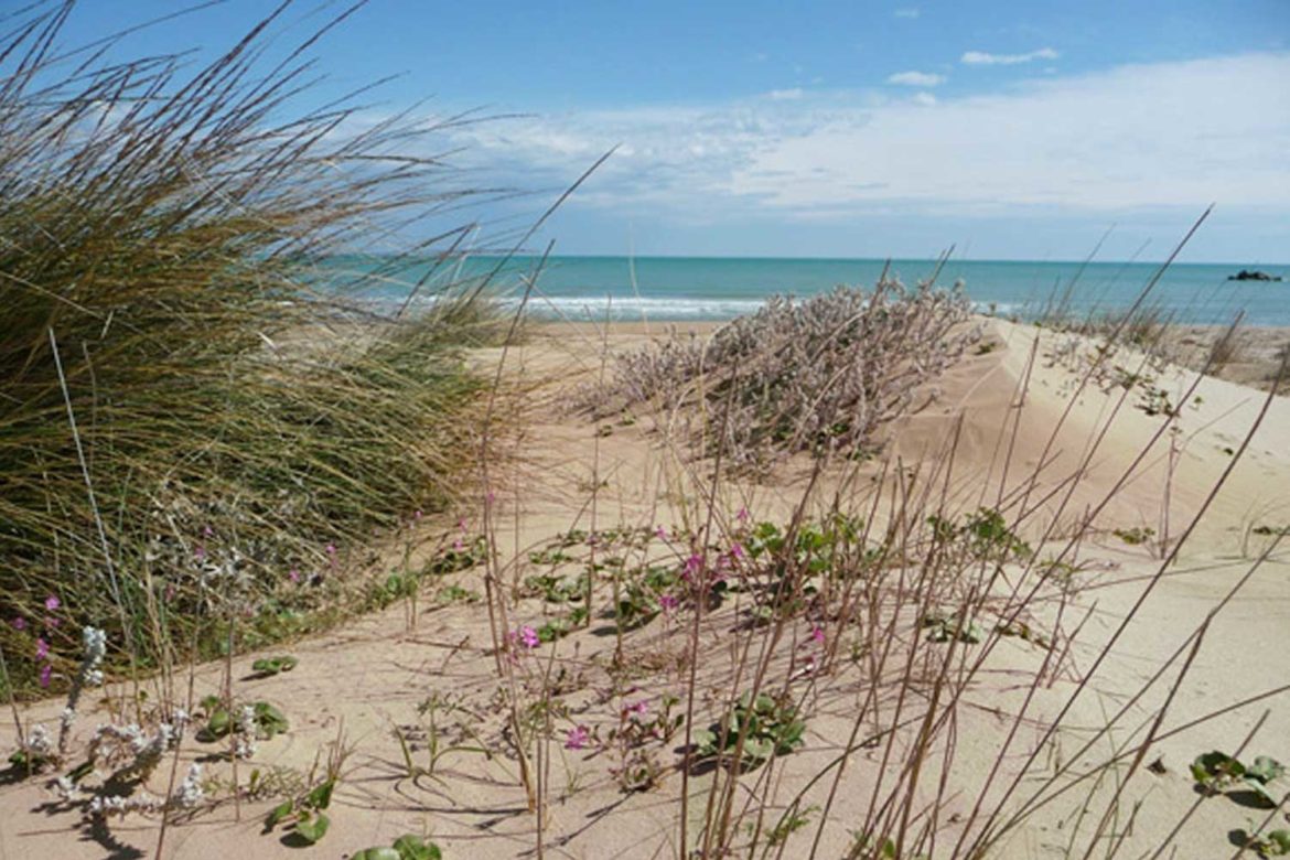 Progetto Southbeach, interviene l’On. Testamento