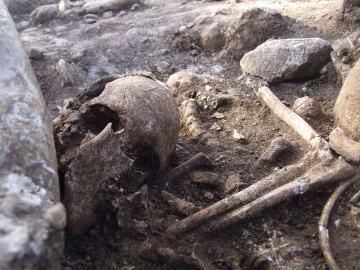 Archeologia molisana mordi e fuggi