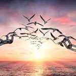 Il coraggio di tagliare i lacci che non ci fanno volare
