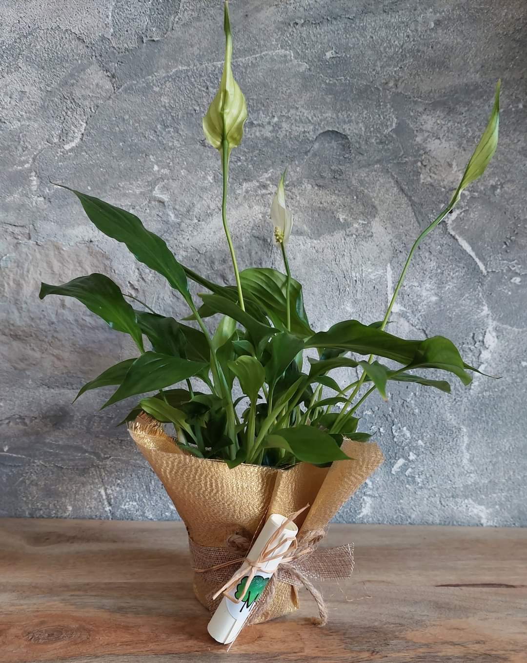 Mamme per salute. L'8 dicembre torna il mercatino