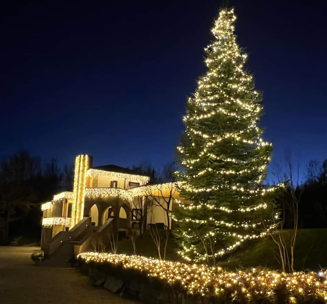 L'albero di Natale è cristiano!