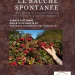 Una passeggiata nella natura con la naturalista Ivonne Vergara