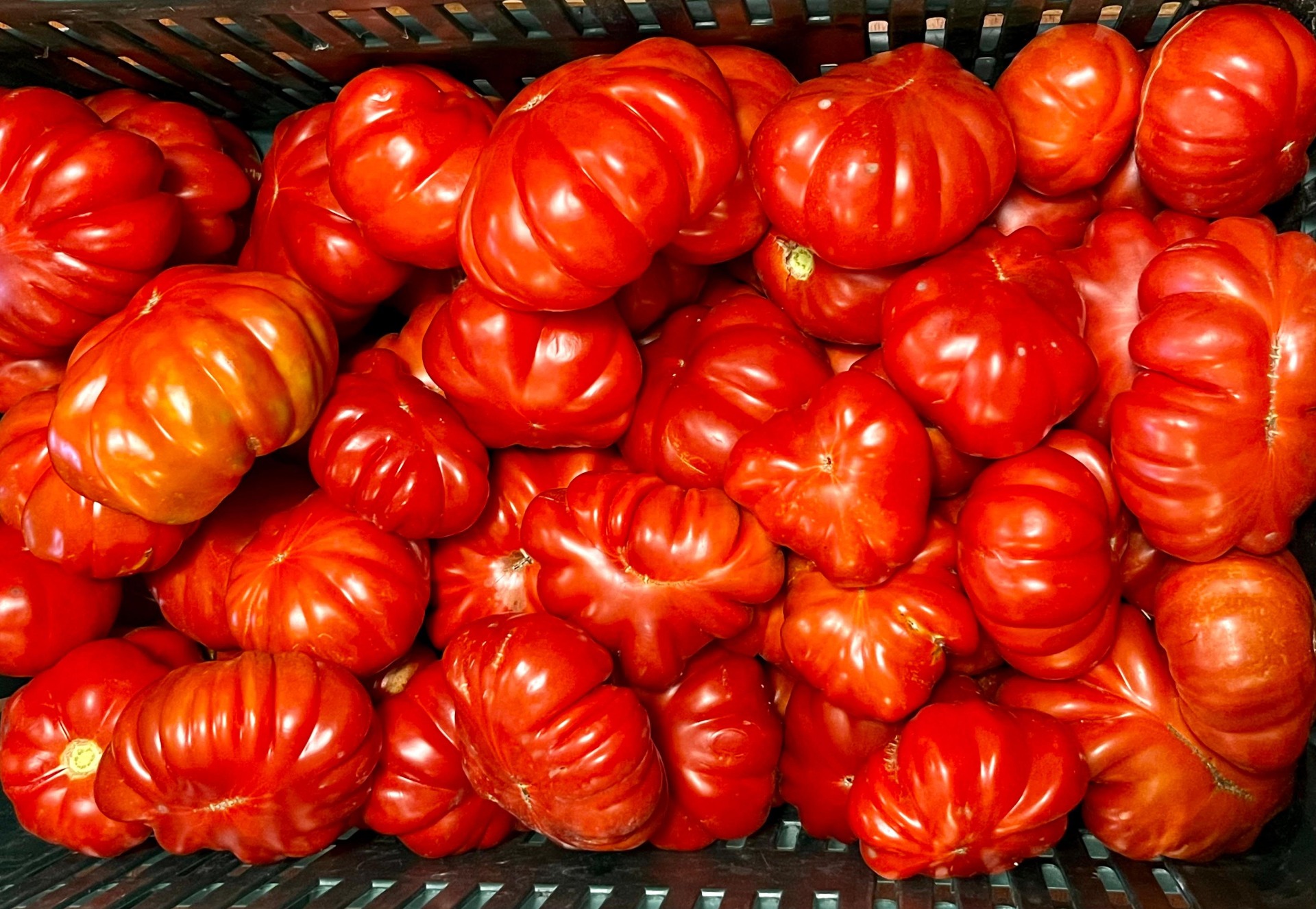 Mappatura dei prodotti agroalimentari locali per promuovere la filiera corta e il km 0