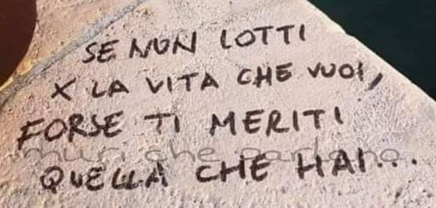 Disturbate il conducente