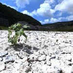 Siccità. Allarme acqua, Costa: ci sono condizioni per stato di emergenza