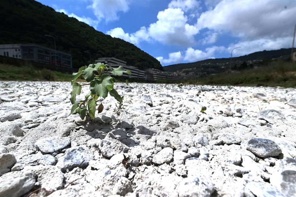 Siccità. Allarme acqua, Costa: ci sono condizioni per stato di emergenza