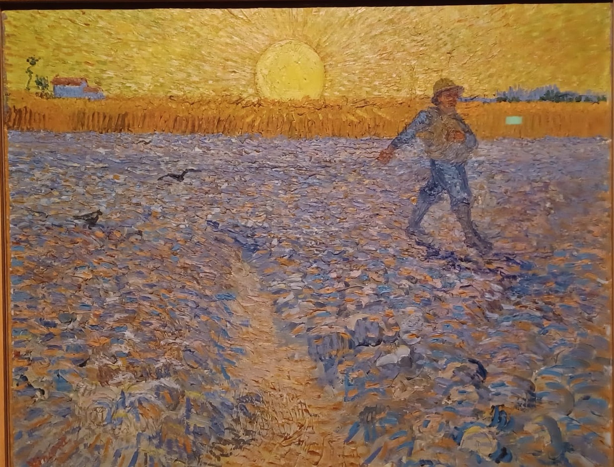 A passeggio nei campi di grano sotto il cielo stellato. A Roma la mostra