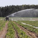 Consorzi bonifica: organizzazioni, impegni non mantenuti