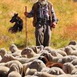 I seduttori e i maestri… Non i comandi, la voce