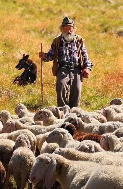I seduttori e i maestri... Non i comandi, la voce
