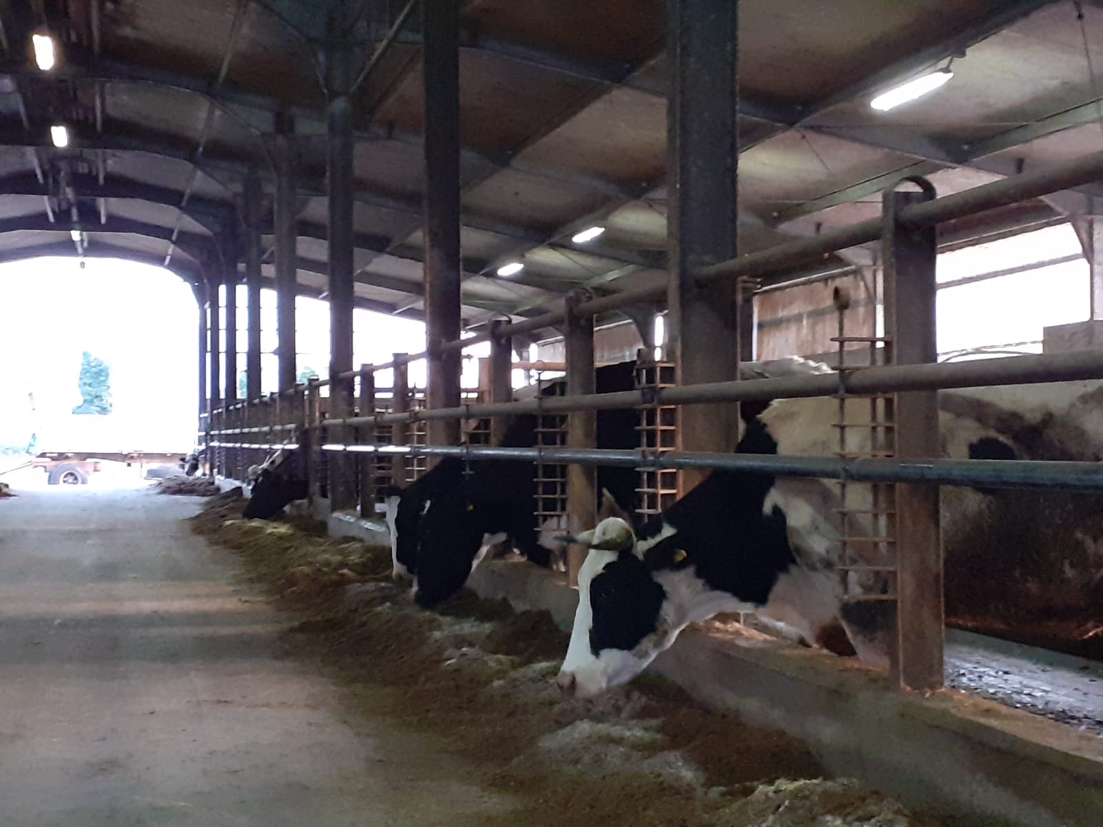 Ambiente Venafro. Parlano gli agricoltori
