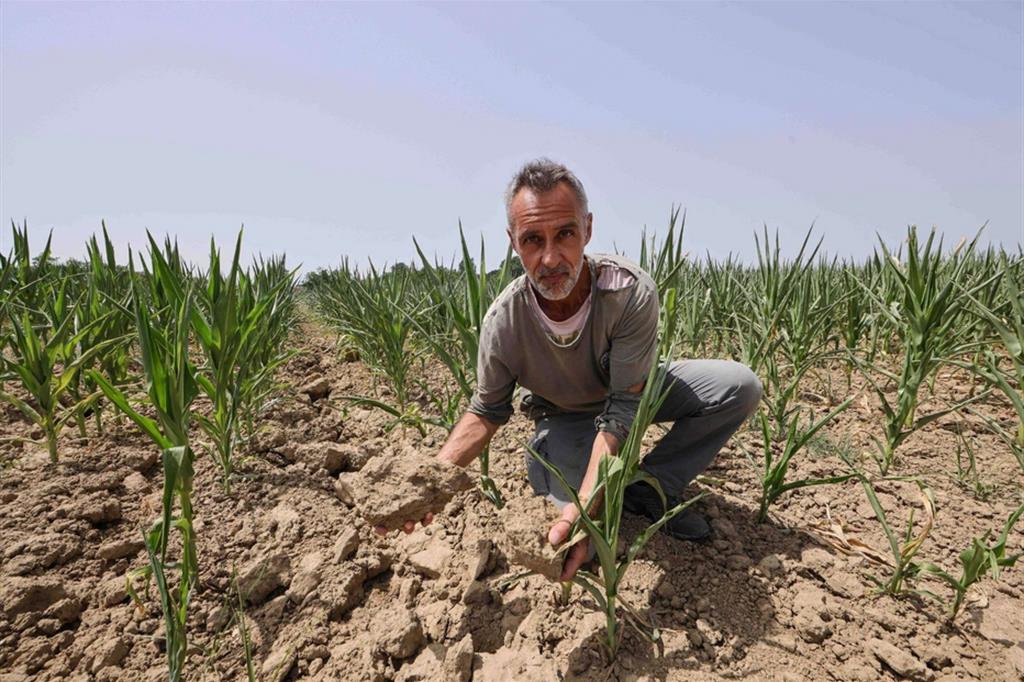 Siccità. La terra è polvere, boom degli insetti. E il Grande Fiume è sempre più salato
