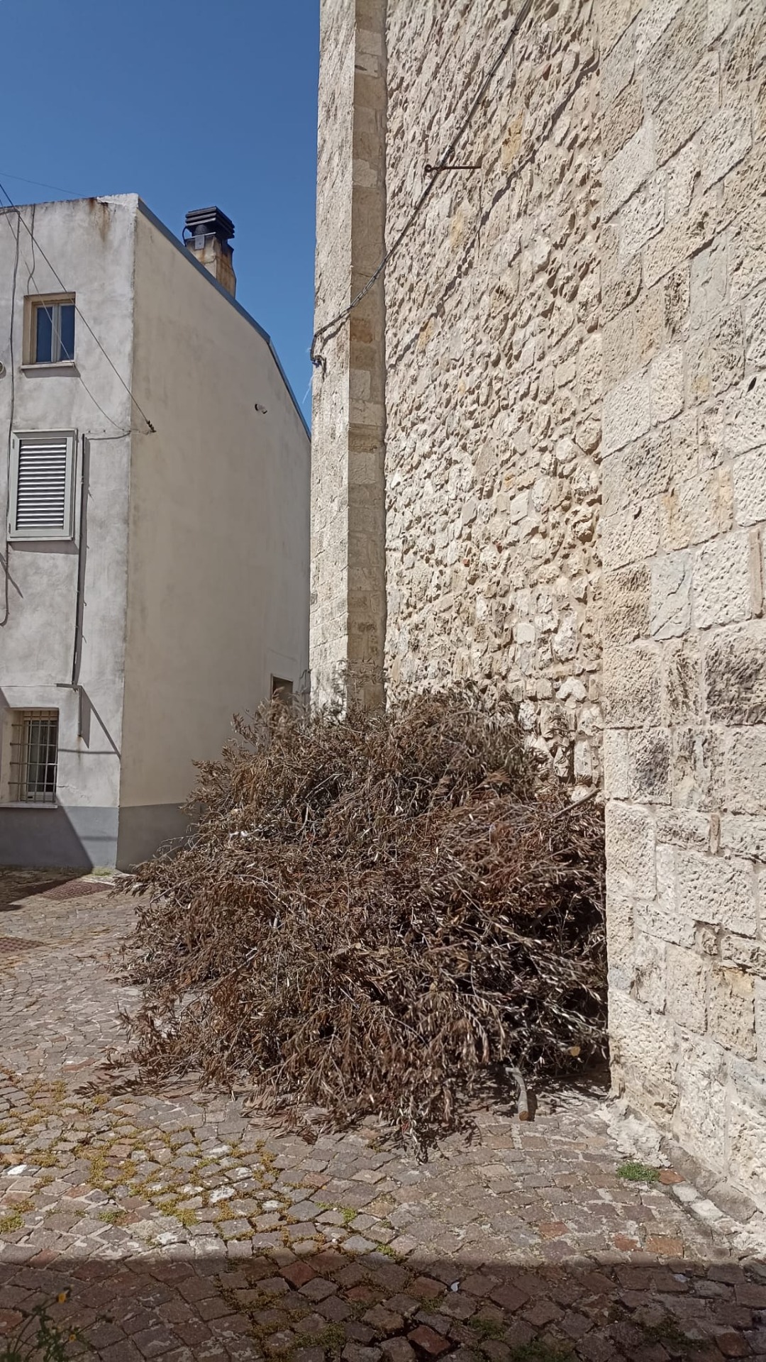 Montelongo e i Fuochi di Sant'Antonio: dove il fuoco scalda l’anima e la tradizione si fa poesia