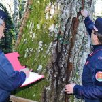 Isernia perde anche il Reparto Carabinieri Biodiversità