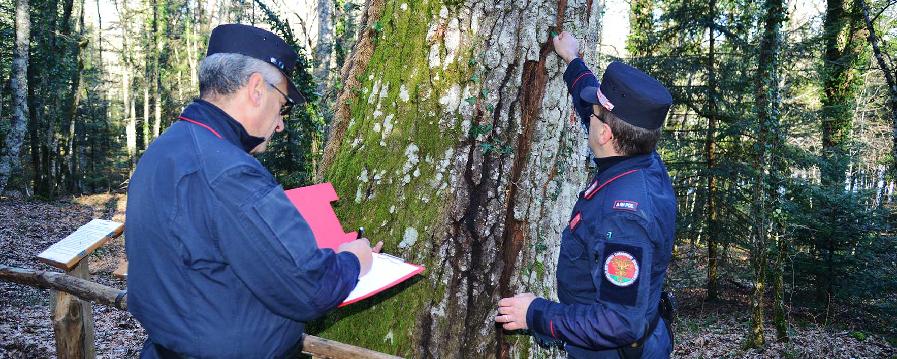 Isernia perde anche il Reparto Carabinieri Biodiversità