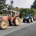 Venafro, imprenditori agricoli in piazza