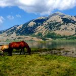 Parco Nazionale del Matese, “Costruiamo un’opportunità per tutti”