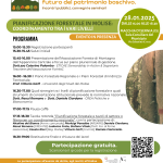 La pianificazione forestale in Molise: un incontro per il futuro dei nostri boschi