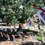 Giornata Internazionale dei Bambini Scomparsi: la memoria non si cancella