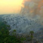 L’Amazzonia oggi emette più anidride carbonica di quanta riesca ad assorbirne