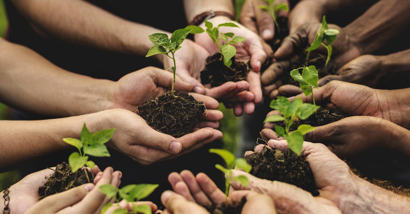 “Seminare l’integrazione”. Al via il progetto di agricoltura sociale dello SPRAR di Cerro al Volturno.