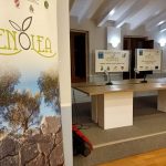 Venòlea 2022. Torna il festival dell’Olio e dell’Olivo di Venafro