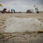 “Mare Monstrum”, anche il Molise nel report di Legambiente