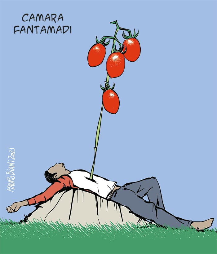 Camara, morto di sfruttamento e indifferenza.