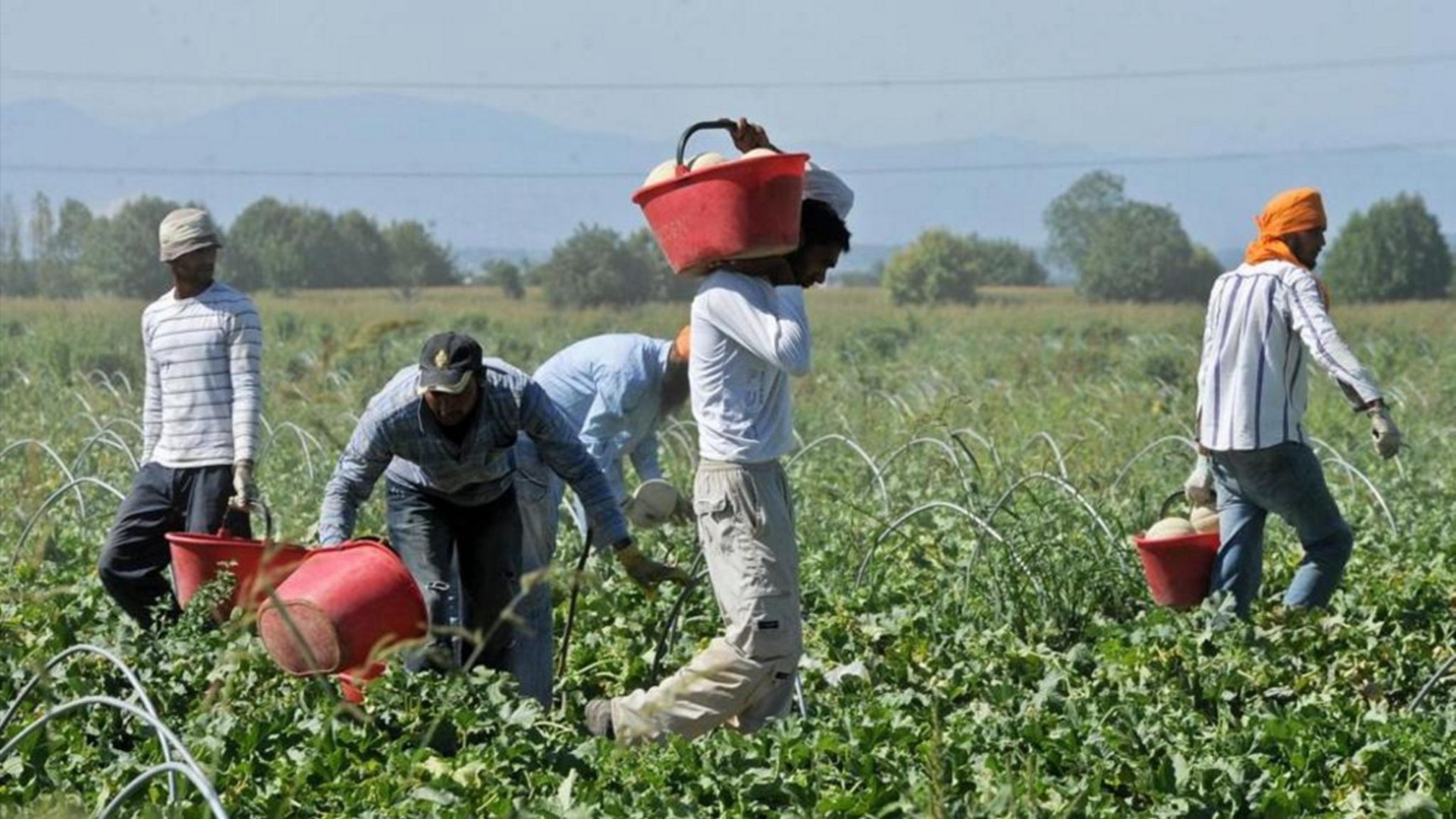 La grande Miseria! Caporalato, indagata la moglie del capo immigrazione del Viminale
