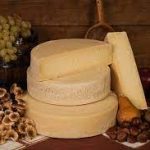 Casearia: Master Class Onaf, medico risponde sull’alimentazione e accoglienza amici a 4 zampe