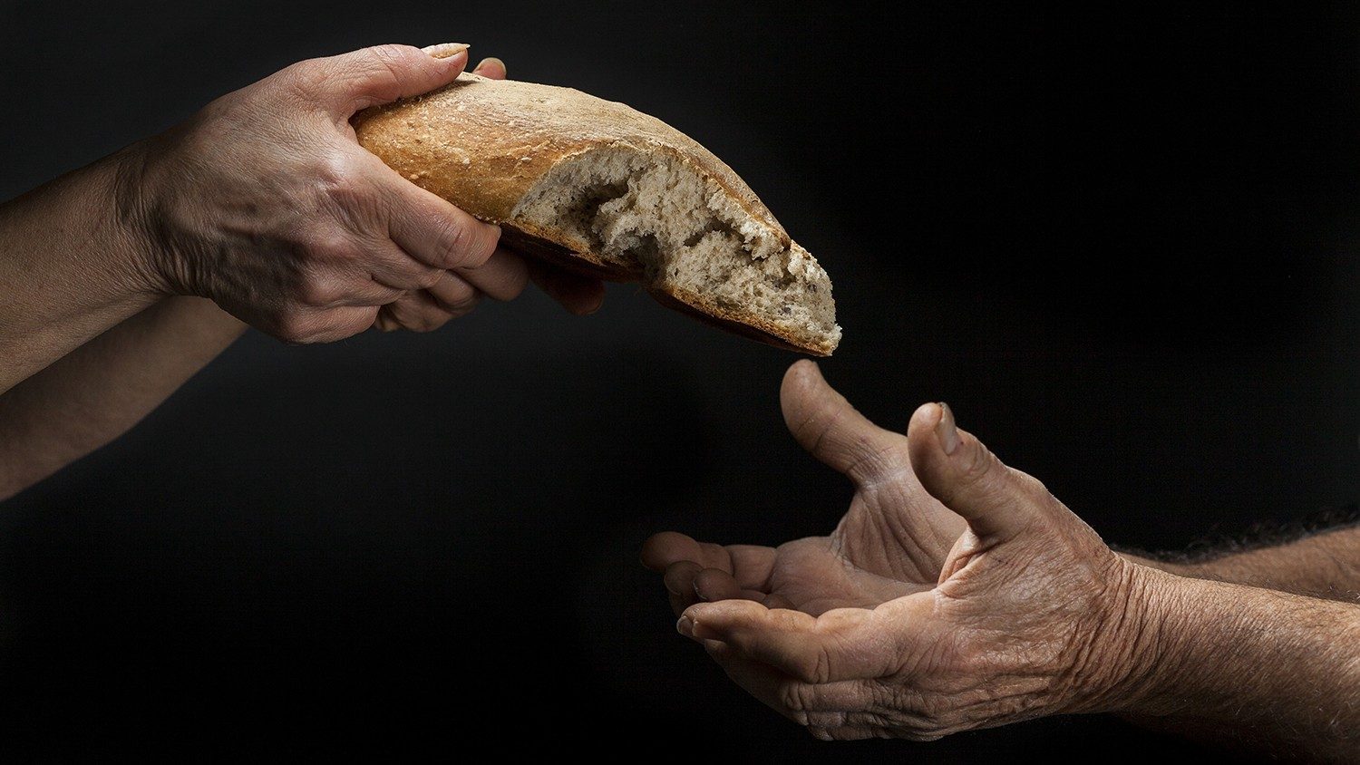Imparate a fare il bene, ricercate la giustizia