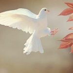 “Tre vie” per la pace