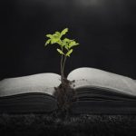 Le parole sono scintille…