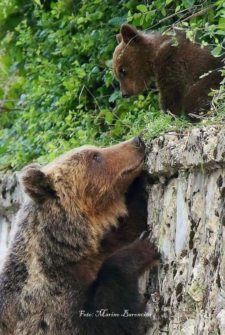 La Morte di tre generazioni.