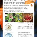 Frutti e bacche in autunno. Nuovo appuntamento con Ivonne Vergara