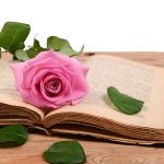 Giornata mondiale del Libro … e delle rose