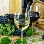 Bando per Assessment e Outgoing GERMANIA 2024 Sostegno alle Imprese Molisane nel Settore Agroalimentare e Vitivinicolo