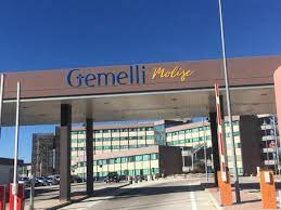Vendita Gemelli Molise. M5S: