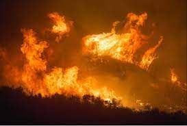 Incendi: Molise, dichiarato stato grave pericolosità