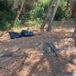 Degrado e abbandono, ecco la pineta di Campomarino