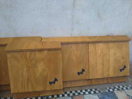 Ragazzi down realizzano 100 batbox, casette per pipistrelli