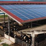 Fotovoltaico sui tetti dei capannoni agricoli, stanziato un miliardo e mezzo