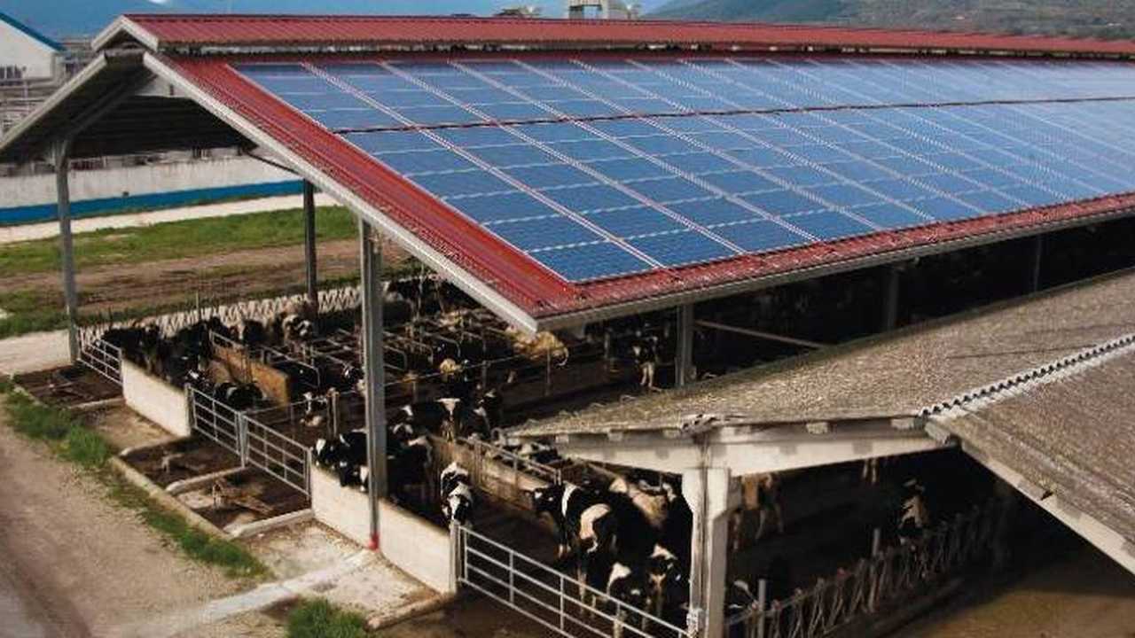 Fotovoltaico sui tetti dei capannoni agricoli, stanziato un miliardo e mezzo