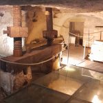 Il Frantoio Ipogeo di Vernole, una discesa nelle radici e nella storia del territorio