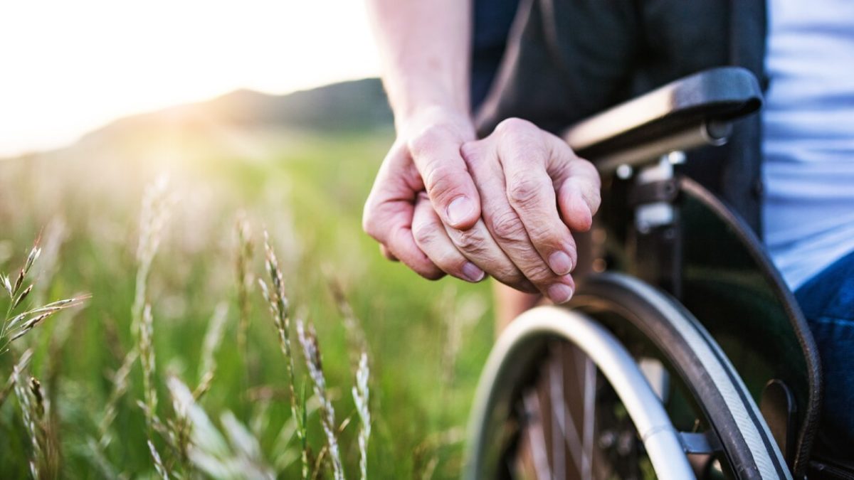 Giornata internazionale dei disabili