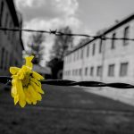 Gionata della Memoria. Filomena Calenda: “La battaglia non è vinta”