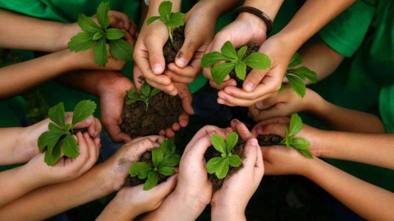 «Prese il pane, rese grazie» (Lc 22,19) Il tutto nel frammento