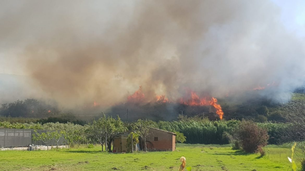 Video su conseguenze incendi, Campomarino diventa emblema