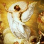 La navigazione del cuore
