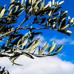 Stare vicino alle ferite di Gesù